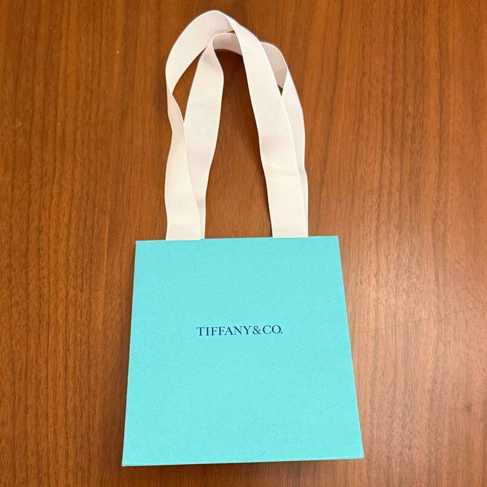 Tiffany & Co. Turquoise Bag with White Straps